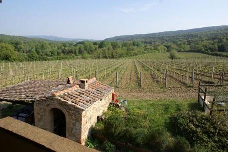 Brunello di Montalcino 2006, Marchesato degli Aleramici