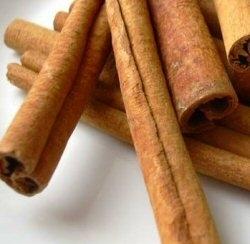 semina di cinnamomum zeylanicum cannella