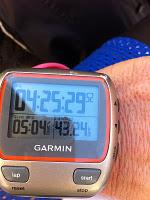 Scusate.... Scusate....