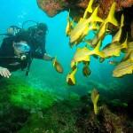 Mare pieno di vita a Fernando