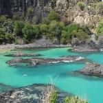 Baia dos Porcos - Fernando de Noronha