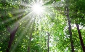 Vivere a impatto zero, un’esperienza collettiva Vivere a impatto zero, un’esperienza collettiva