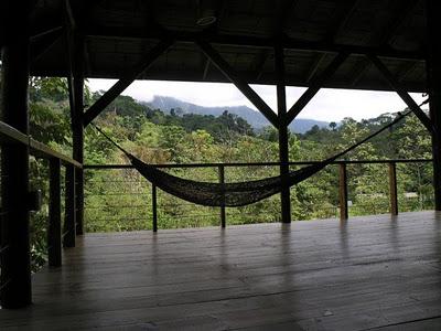 Viaggi nel Mondo - Costa Rica comprati una casa su un albero