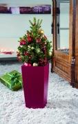 Un regalo green per un rosso Natale