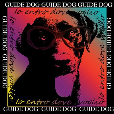 UN CANE, UNA LEGGE, L'AUTONOMIA E LA DIGNITA' UN CANE, UNA LEGGE, L'AUTONOMIA E LA DIGNITA'