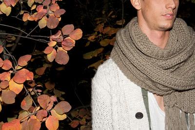 Autumn leaves... Autumn leaves...