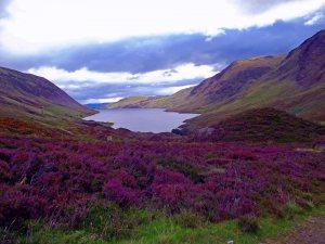 Loch Turret Hill walking in Perthshire – by Alister Sinclair & Jess Smith