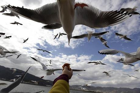 Le Foto più belle della Settimana