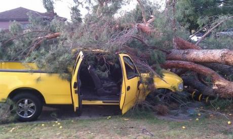 La tempesta di vento sulla California: più di 120mila abitazioni senza elettricità