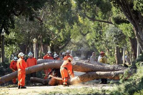 La tempesta di vento sulla California: più di 120mila abitazioni senza elettricità