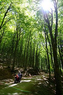 TOSCANA a spasso nel medioevo