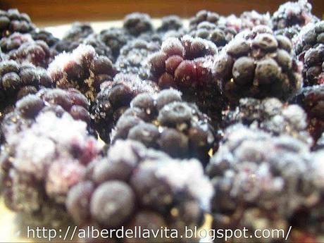 TORTA DI MELE E MORE TORTA DI MELE E MORE