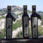 olio extravergine di oliva  biologico vivace, preludio e sinfonia