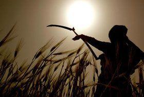 L'ultima primavera. L'ultima primavera.