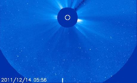 La cometa Lovejoy diretta sul Sole