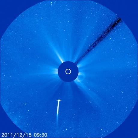 La cometa Lovejoy diretta sul Sole