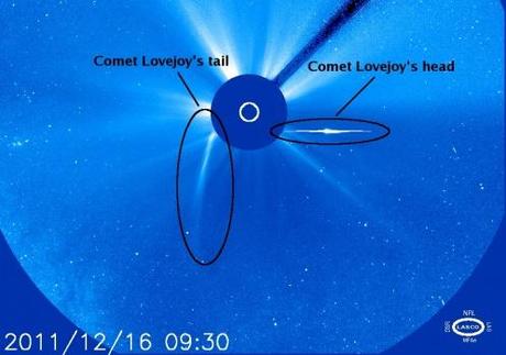 La cometa Lovejoy è sopravvissuta all’incontro con il Sole
