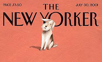 animali da copertina - new yorker