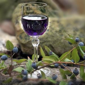 Il mirto, gradevole profumo di Sardegna