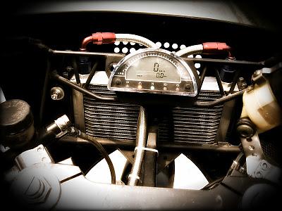 The warrior The warrior