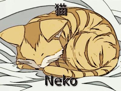 Neko - Gatto