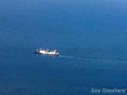 La Nisshin Maru vista dal drone il 24 dicembre 2011