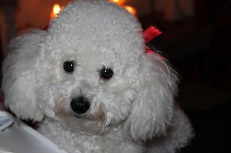 Christmas Random !!! Christmas Random !!!