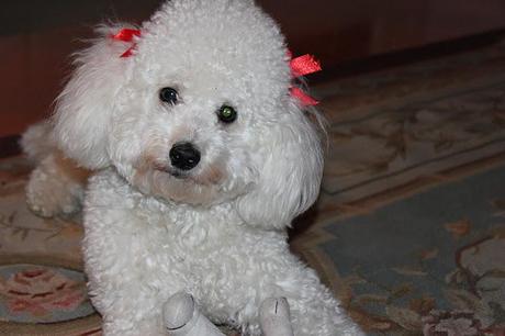 Christmas Random !!! Christmas Random !!!