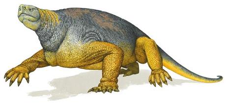 Il rettile del Paleozoico che somiglia a s’Iskultone