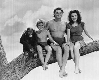 Alla tenera età di 80 anni si è spento Cita, lo scimpanzè del Tarzan del 1932