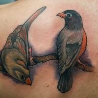 foto-sfondi-tatuaggi-colorati-uccelli