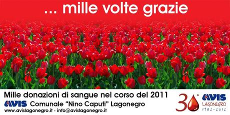 manifesto mille donazioni Tutto pronto a Lagonegro per la festa dell’Avis