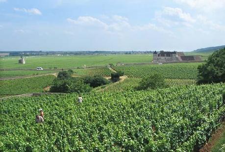 Le Super 1er Crus:Les Amoureuses Chambolle Musigny