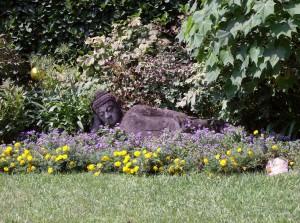 il budda del giardino botanico andrè heller