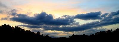 pensieri sotto un prato di stelle pensieri sotto un prato di stelle