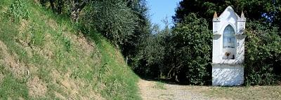 in 500 a Volterra. Da Palaia a Montefoscoli