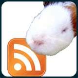 Gwibber, client open source  per il microblogging, sviluppato per Gnome.