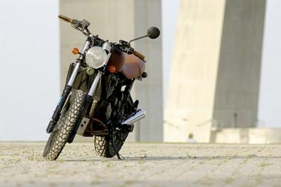 Tiger Scrambler Pure run & fun! Tiger Scrambler Pure run & fun!