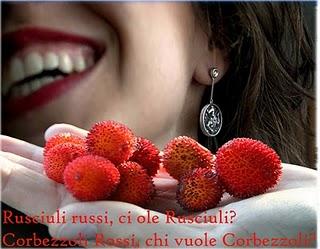 Rusciuli del Salento leccese (Corbezzolo Arbutus unedo L.): ne mangio uno! Uno e basta!