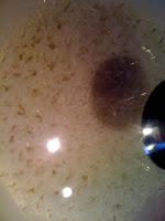 Riso per sushi Riso per sushi