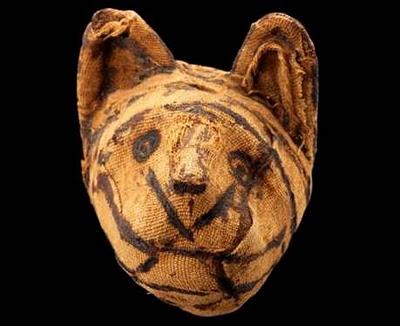 Milioni di animali mummificati nell'antico Egitto mummie animali