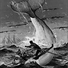 Perché Melville scelse la vita di marinaio