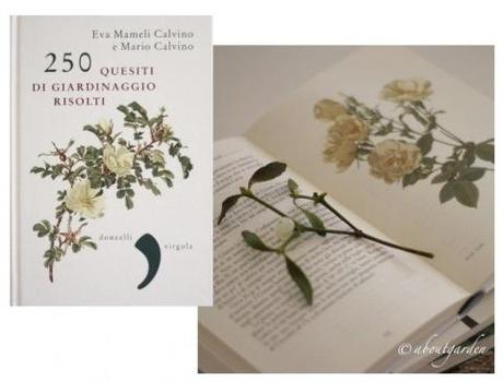 250 Quesiti di giardinaggio risolti libri per le feste -2