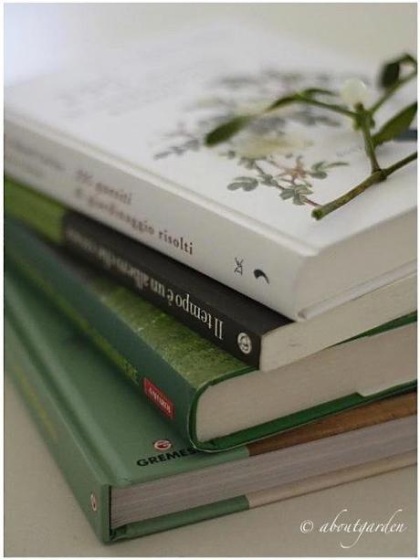 libri per le feste libri per le feste -2