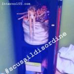 barbiesuicide scusaildisordine Incalzante