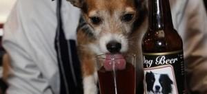 In arrivo la birra per cani…….ultime news dall’Inghilterra
