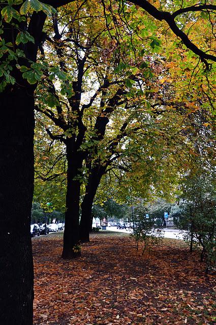 Goodmorning SundayRainySunday Goodmorning SundayRainySunday