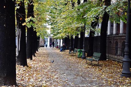 Goodmorning SundayRainySunday Goodmorning SundayRainySunday