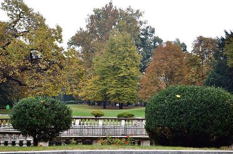 Goodmorning SundayRainySunday Goodmorning SundayRainySunday