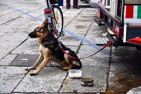 Goodmorning SundayRainySunday Goodmorning SundayRainySunday